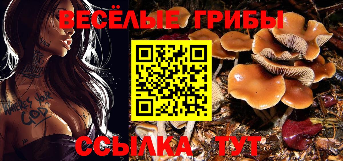 Назарово  Псилоцибиновые грибы Cubensis  Вход с VPN 